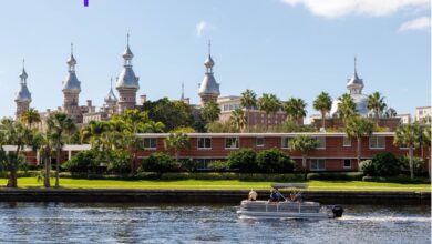 university of florida