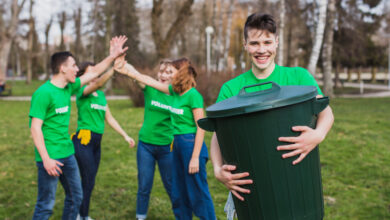 Halton Bin Collection