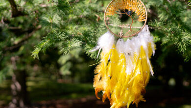 Feather a Nest