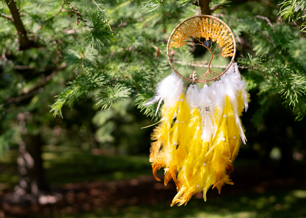 Feather a Nest