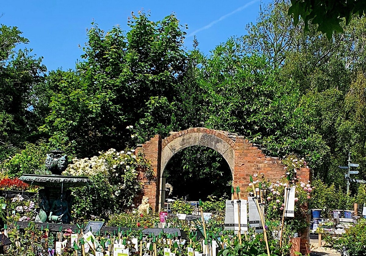 Lady Green Garden Centre Ince Blundell