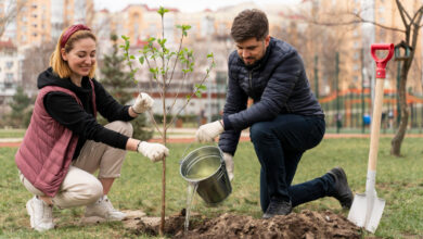 Earth Day Activities