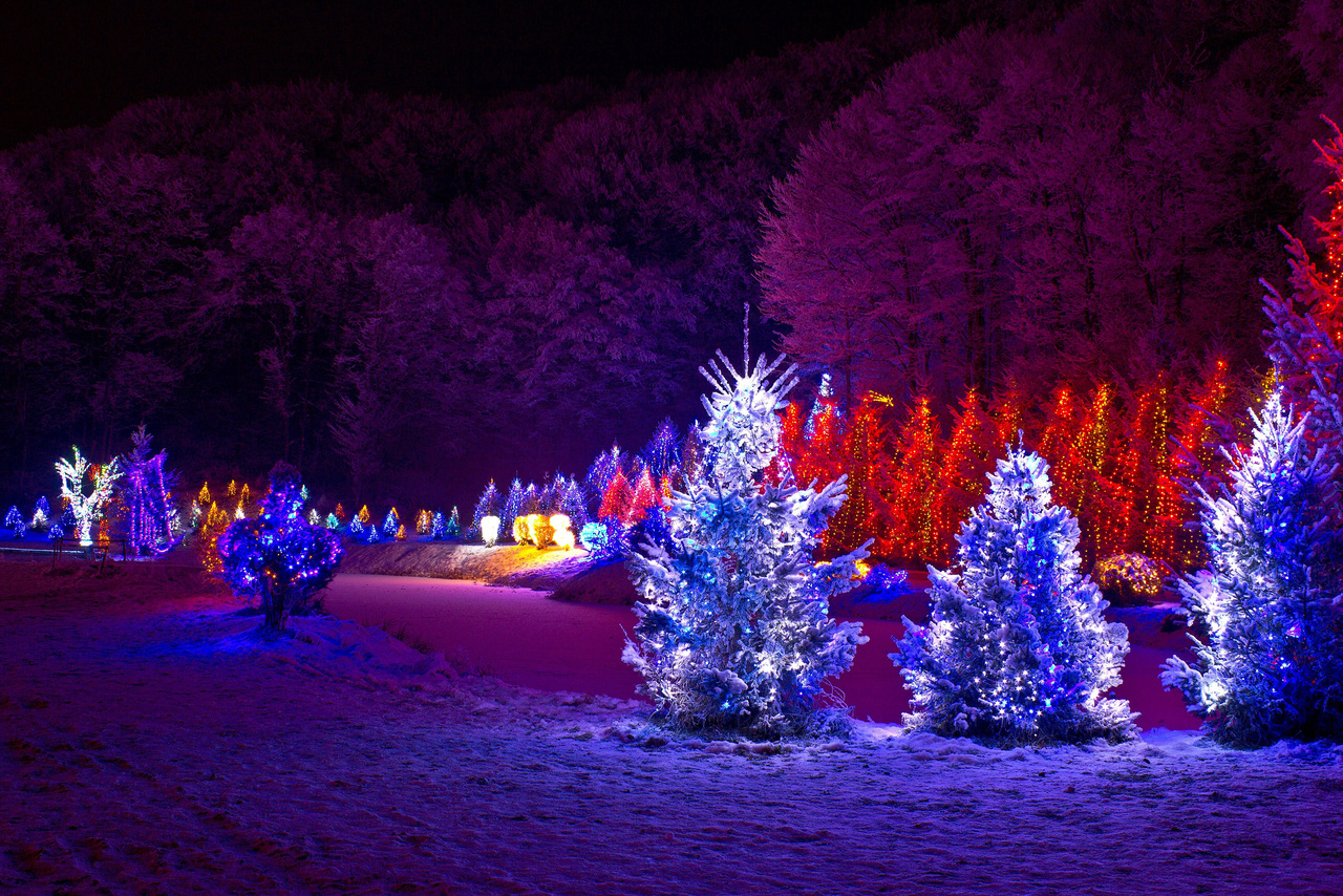 Outdoor Tree Christmas