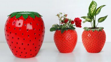 vase strawberry