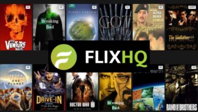 HQFlix: Revolutionizing Online Movie Streaming