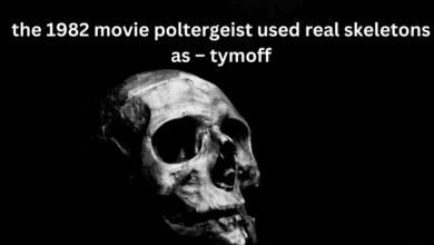 All About the 1982 Movie "Poltergeist" and the Use of Real Skeletons – Tymoff