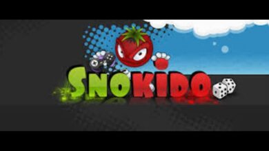 Exploring Snokido: A Gateway to Online Gaming