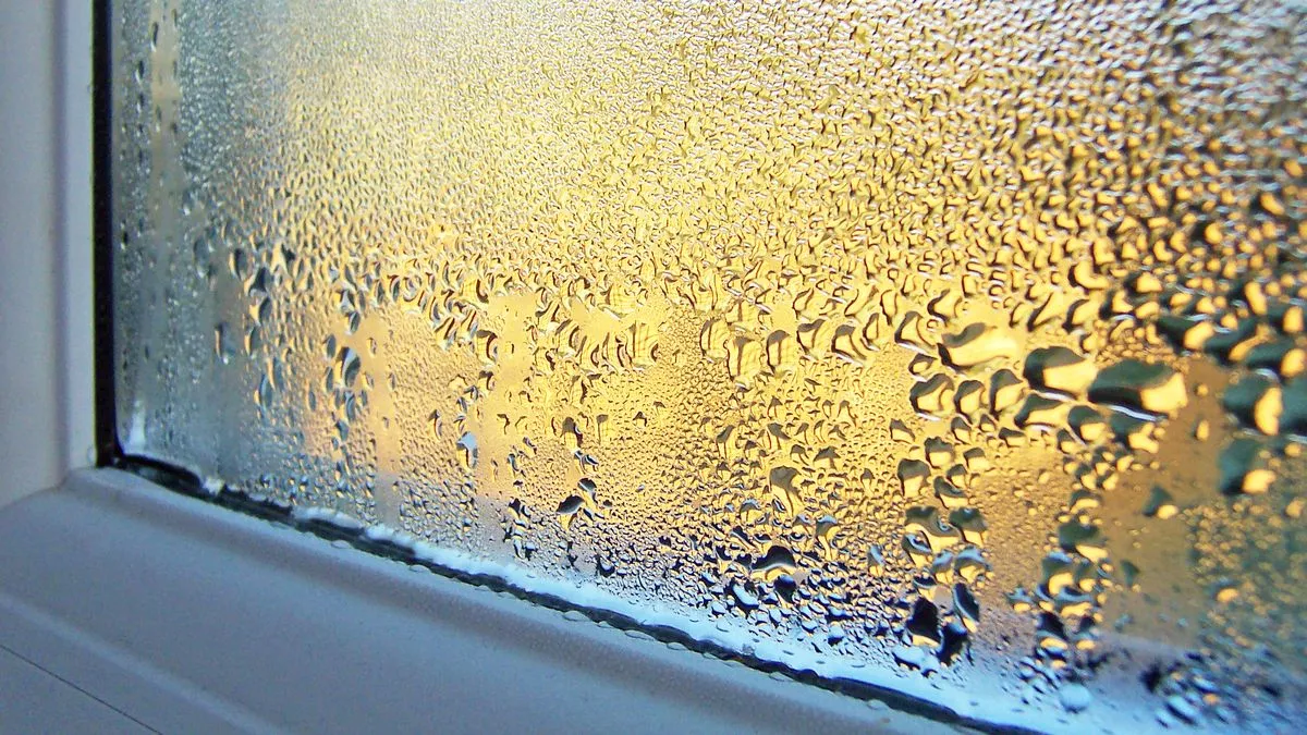 does vinegar stop condensation on windows