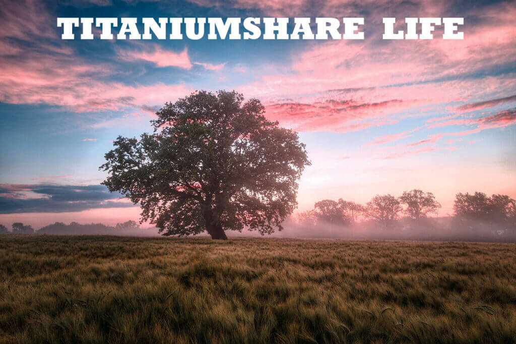 TitaniumShare.Life: A New Era of File Sharing and Collaboration