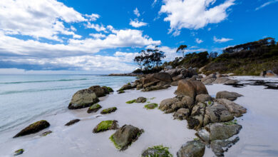 beadnell bay