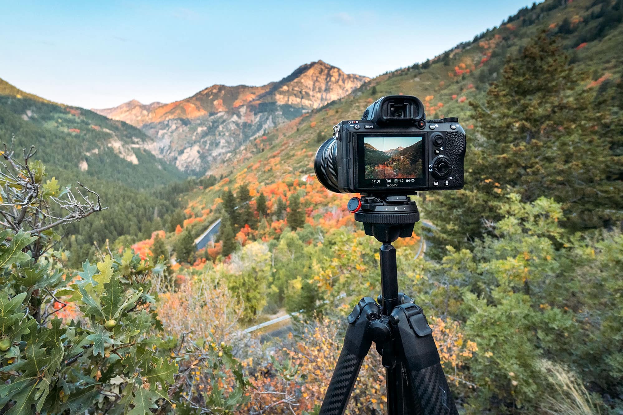 Peak Design Travel Tripod