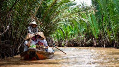 Travel Shots for Vietnam