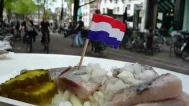 Dutch Herring