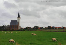 Texel Island