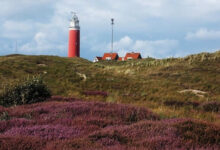 Texel Island