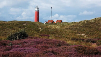 Texel Island