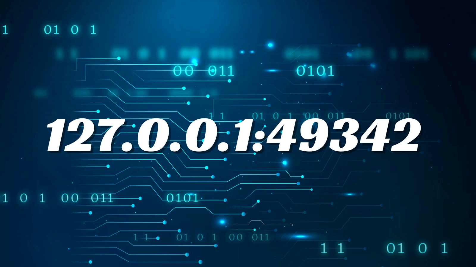 127.0.0.1:49342 Localhost IP Address: What It Means and How It Works