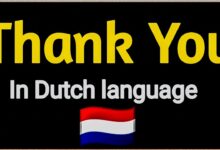 How to Say Thank You in Dutch Language