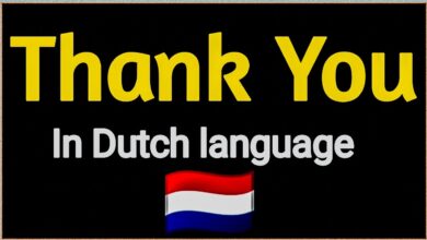 How to Say Thank You in Dutch Language